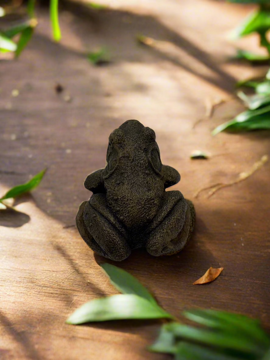 Frog, 4"