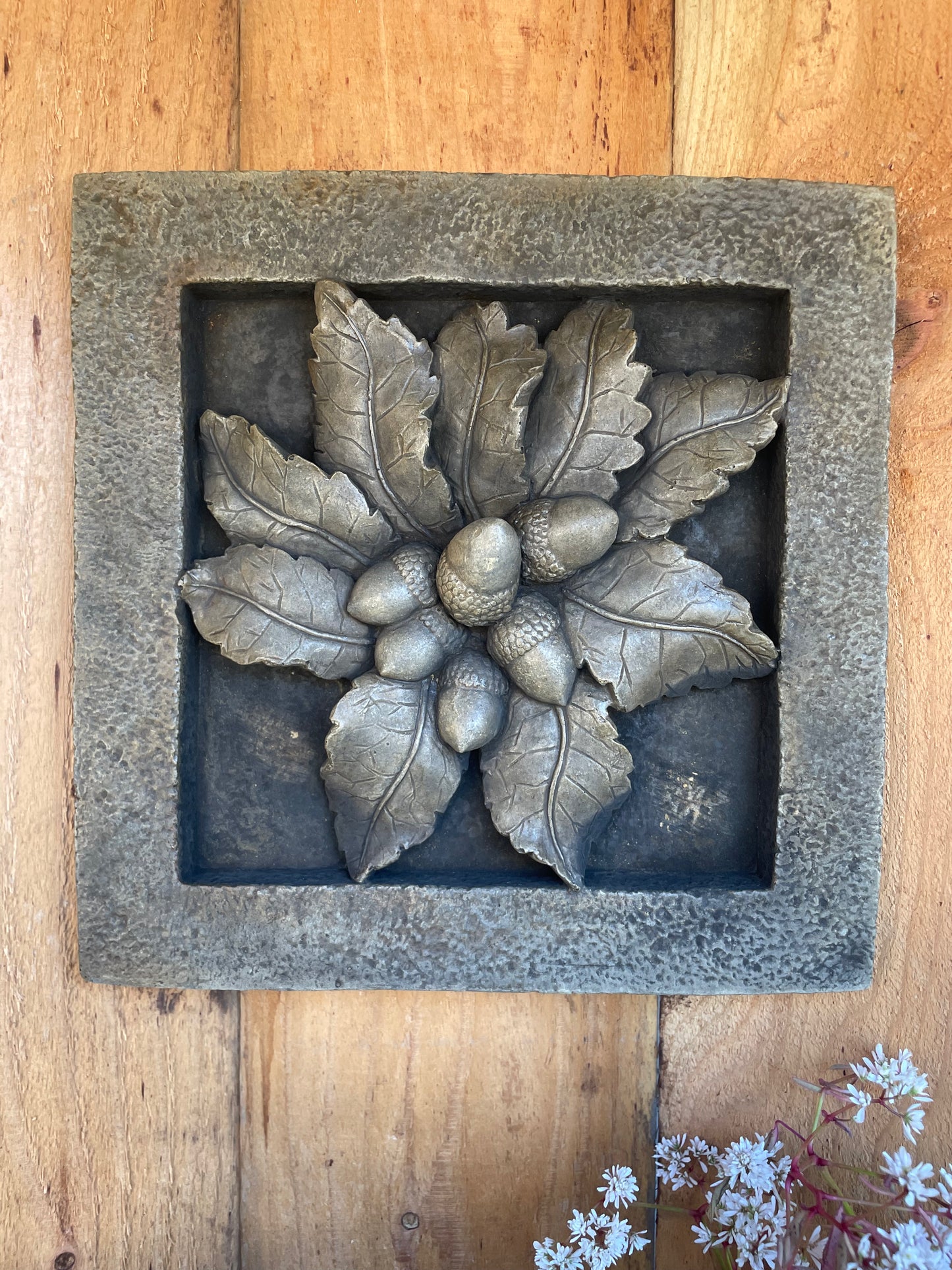 Acorn