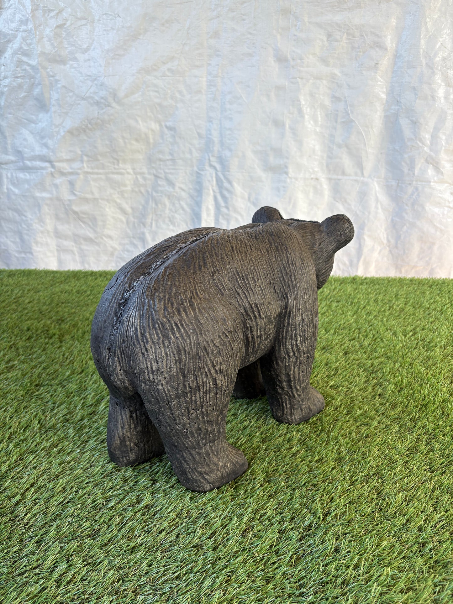 Black Bear