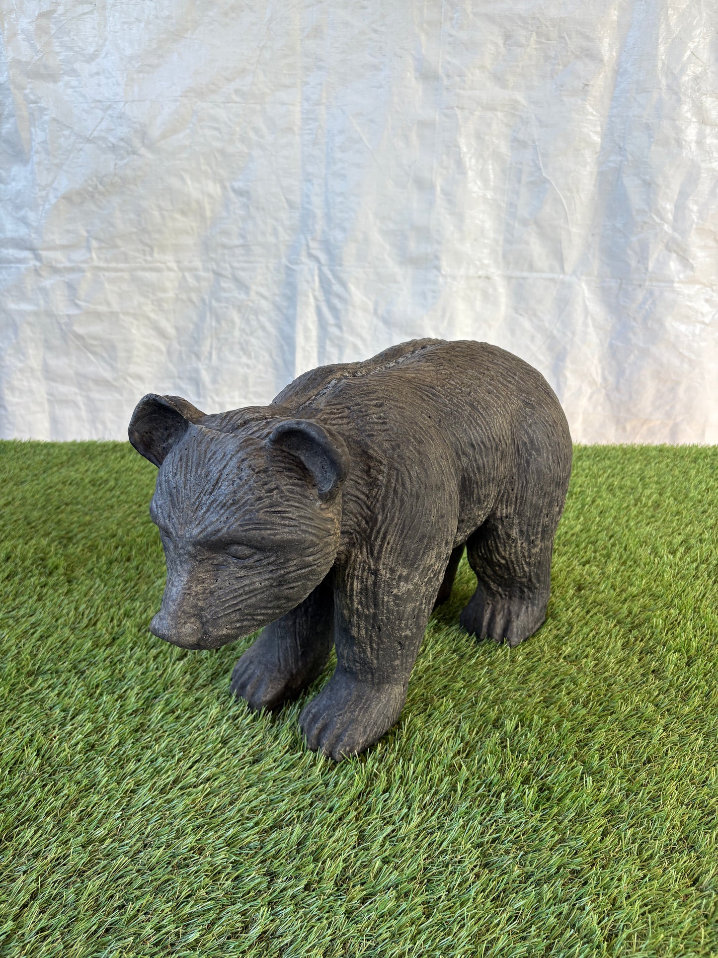 Black Bear