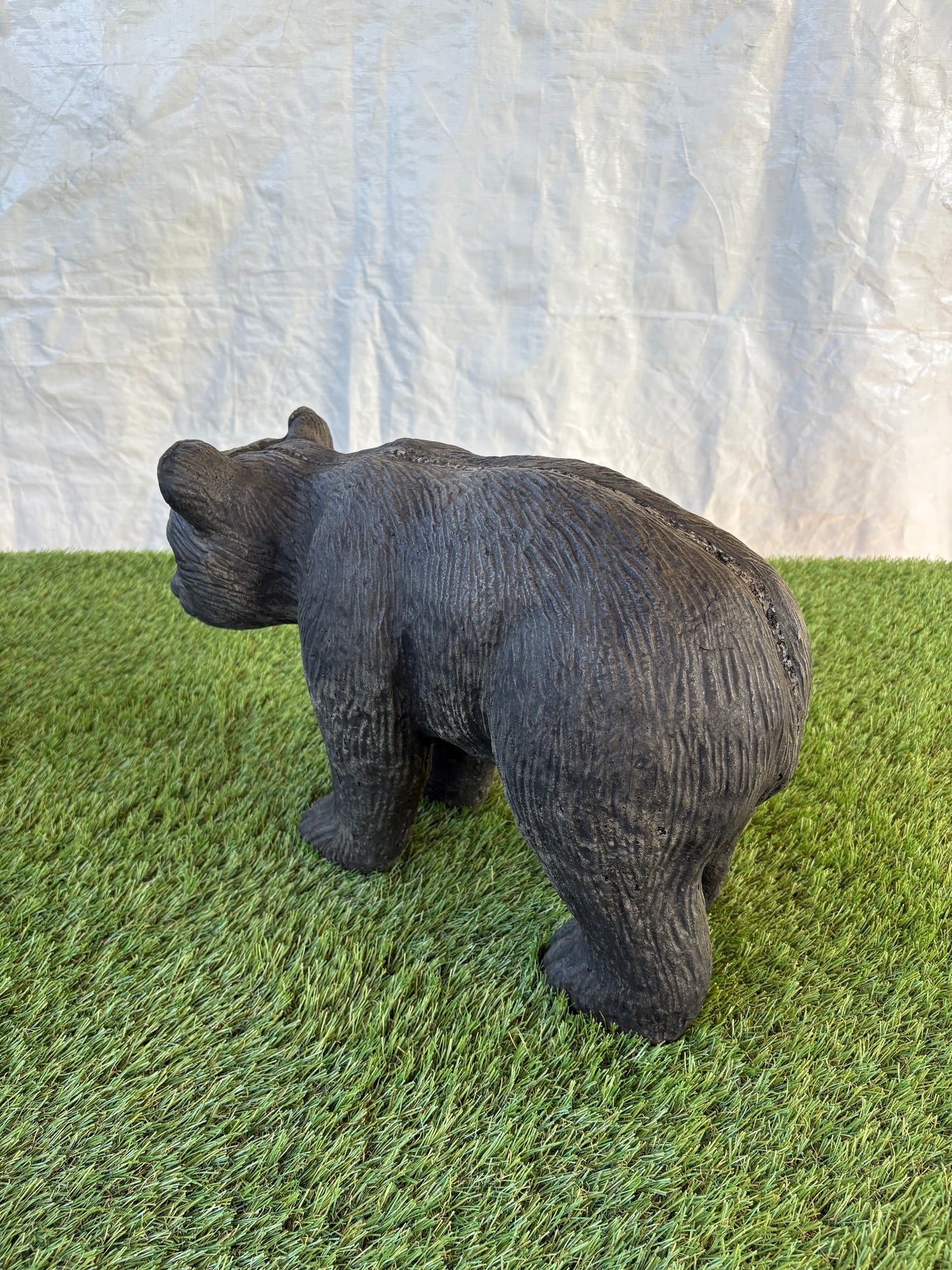 Black Bear