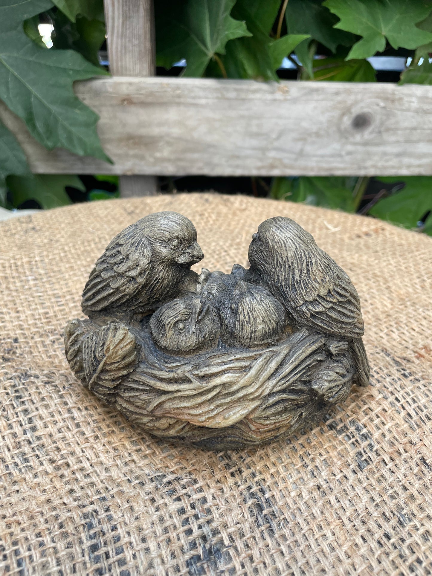 Birds In A Nest