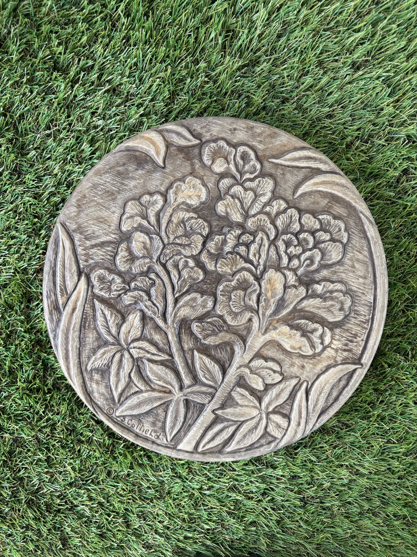 Blue Bonnet Stepping Stone