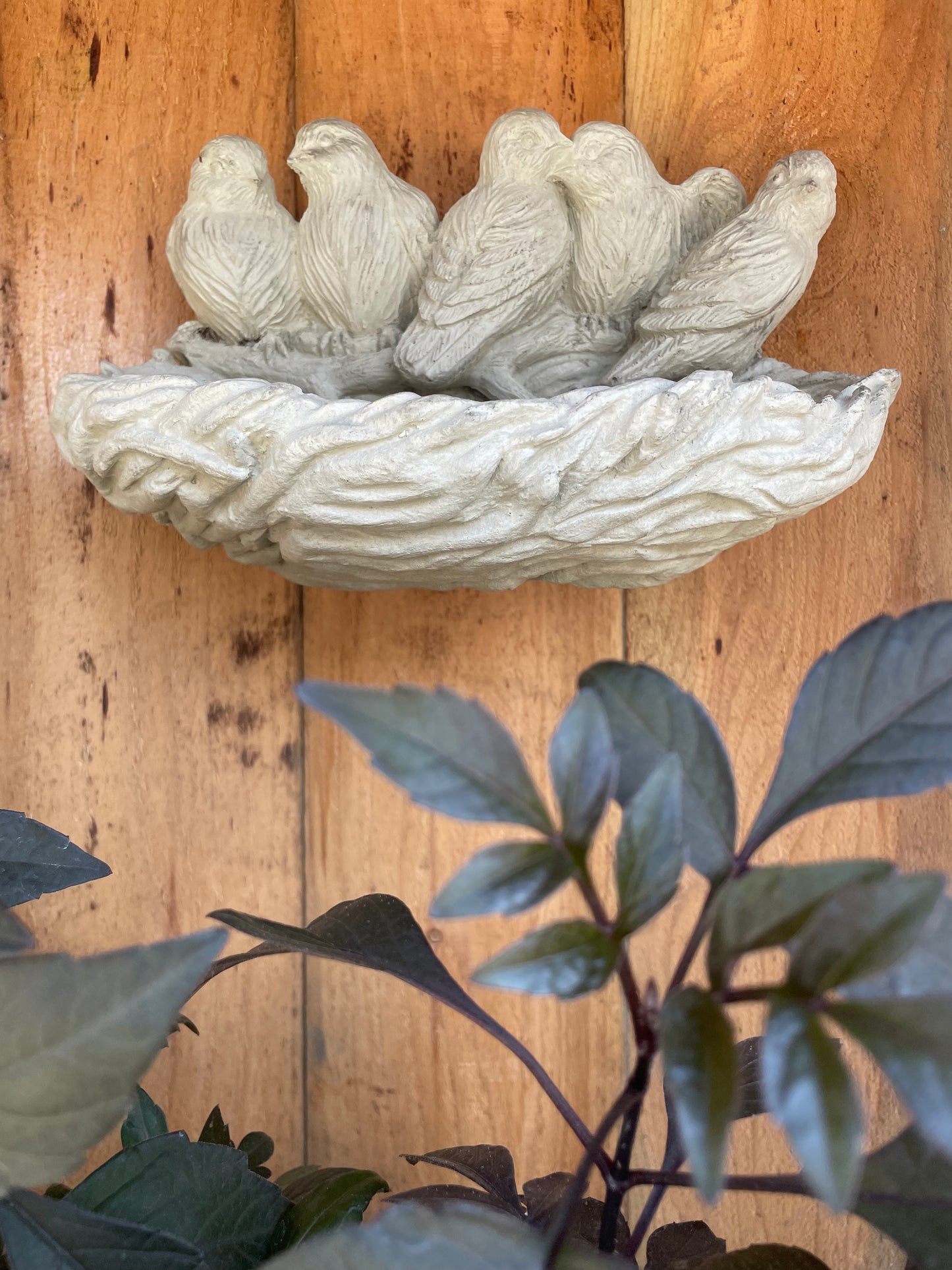 Wall Hanging Bird Feeder