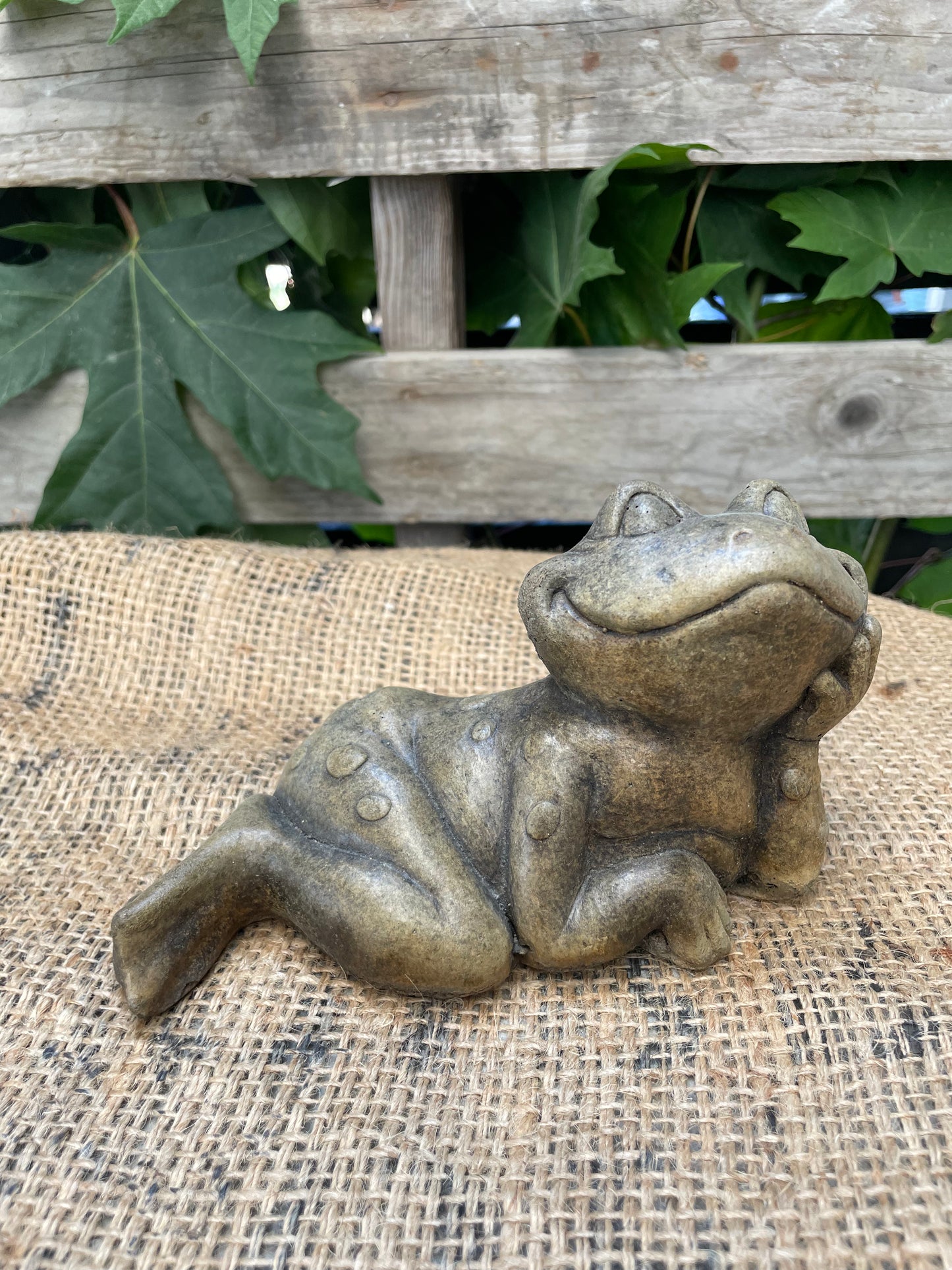 Cartoon Frog, Lying