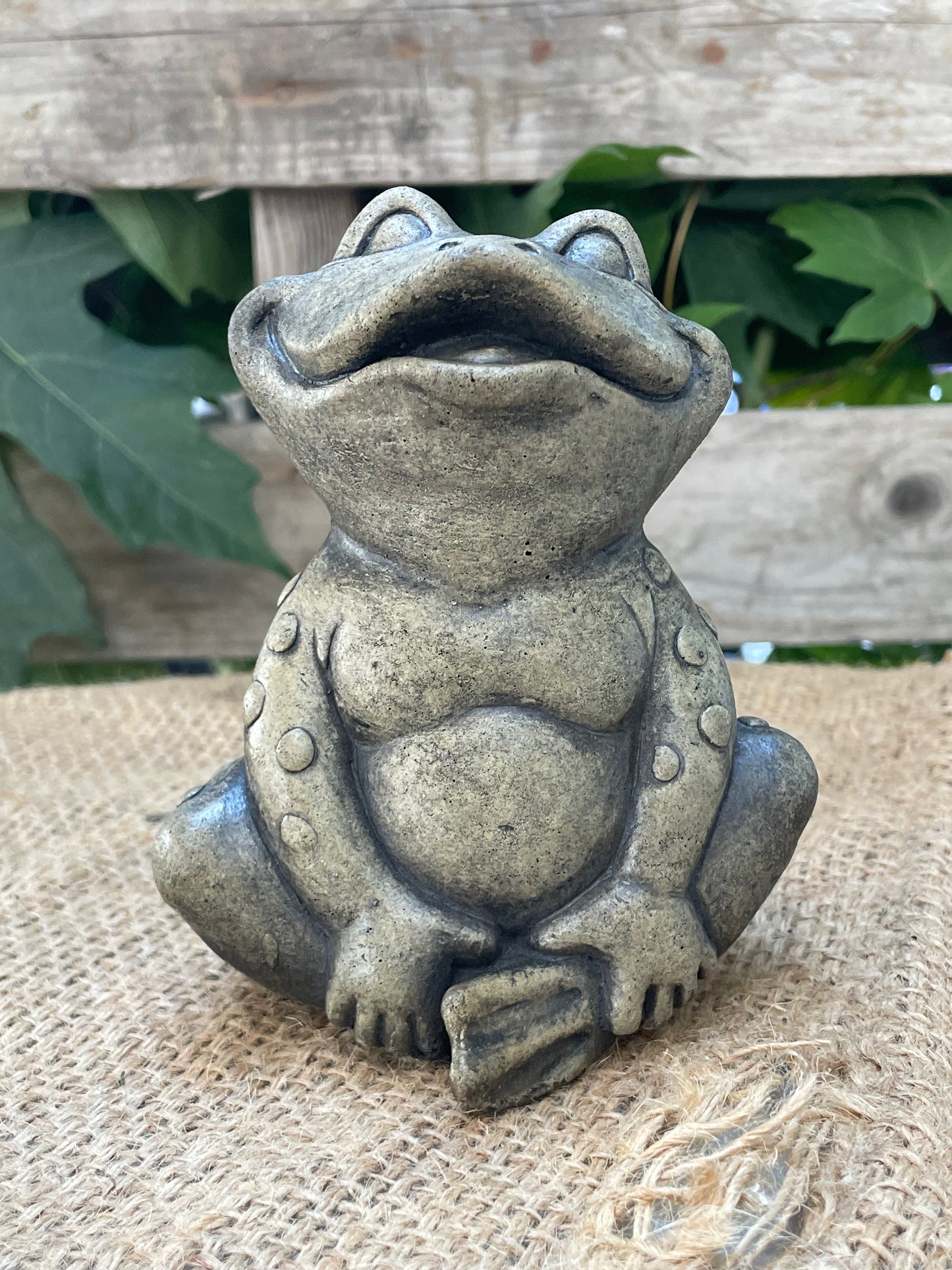 Cartoon Frog, Sitting, Mouth Open