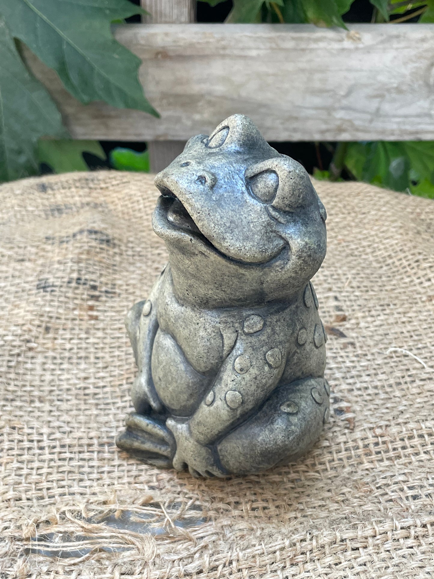 Cartoon Frog, Sitting, Mouth Open