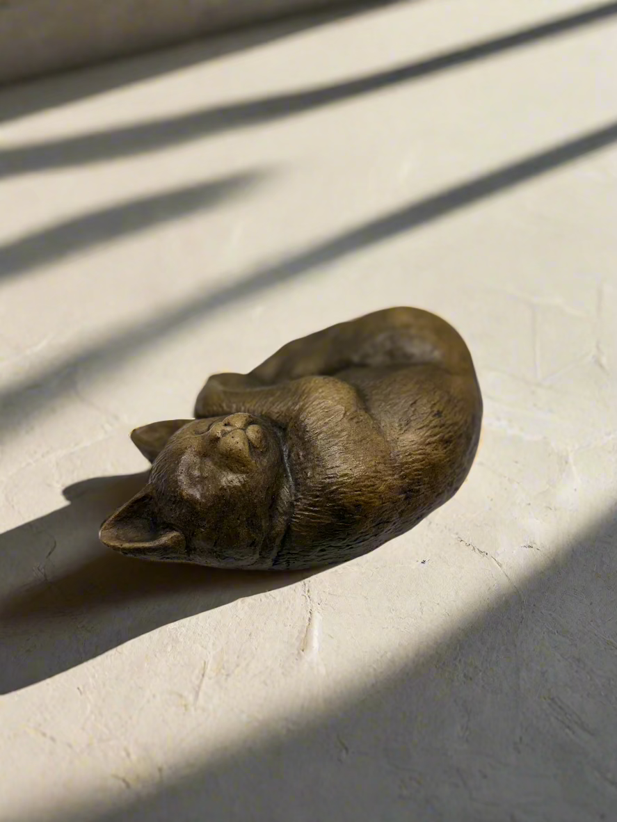 Cat, Sleeping Head Down
