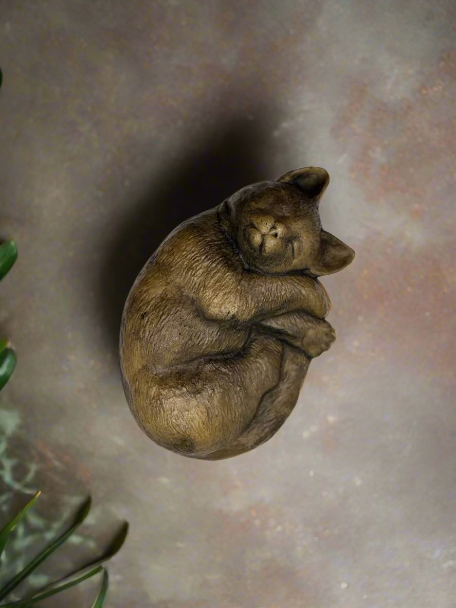 Cat, Sleeping Head Down