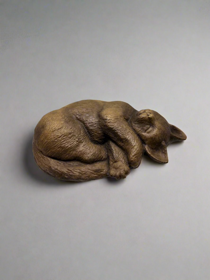 Cat, Sleeping Head Down