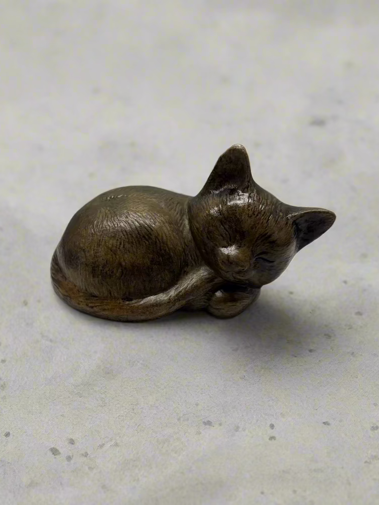Cat, Sleeping, Head Up