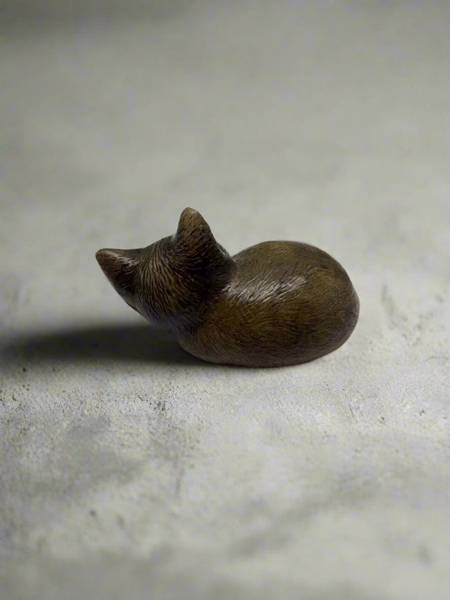 Cat, Sleeping, Head Up