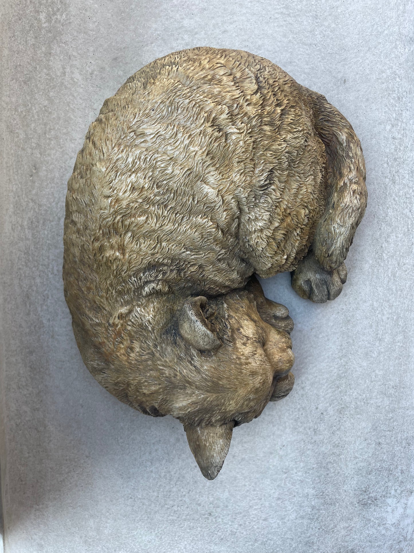 Sleeping Cat - XL