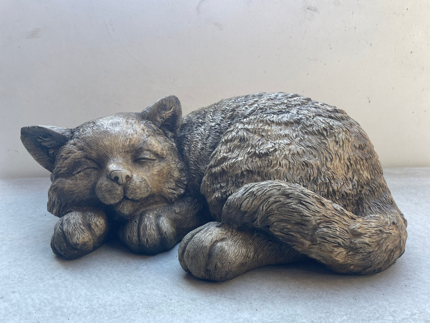 Sleeping Cat - XL