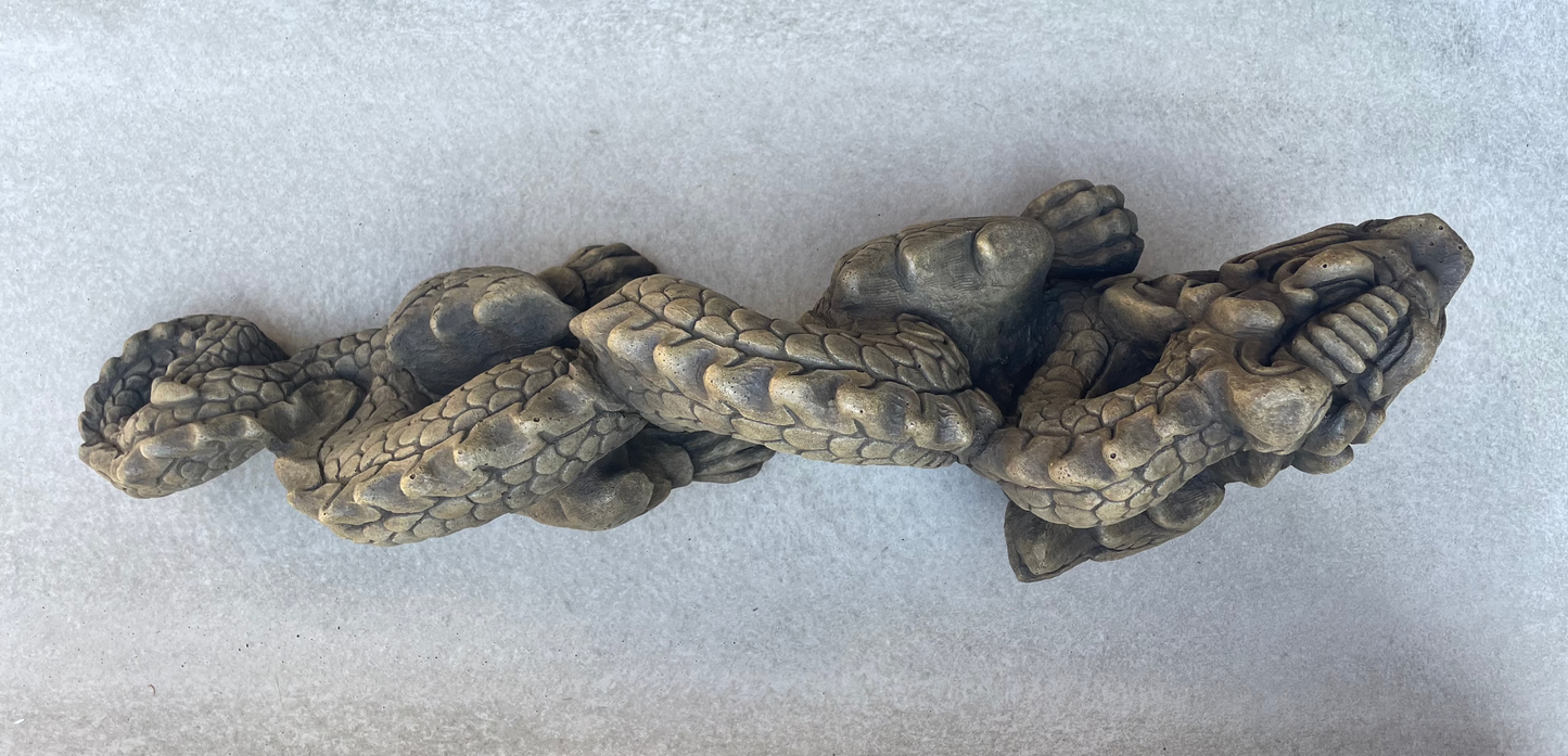 Asian Dragon