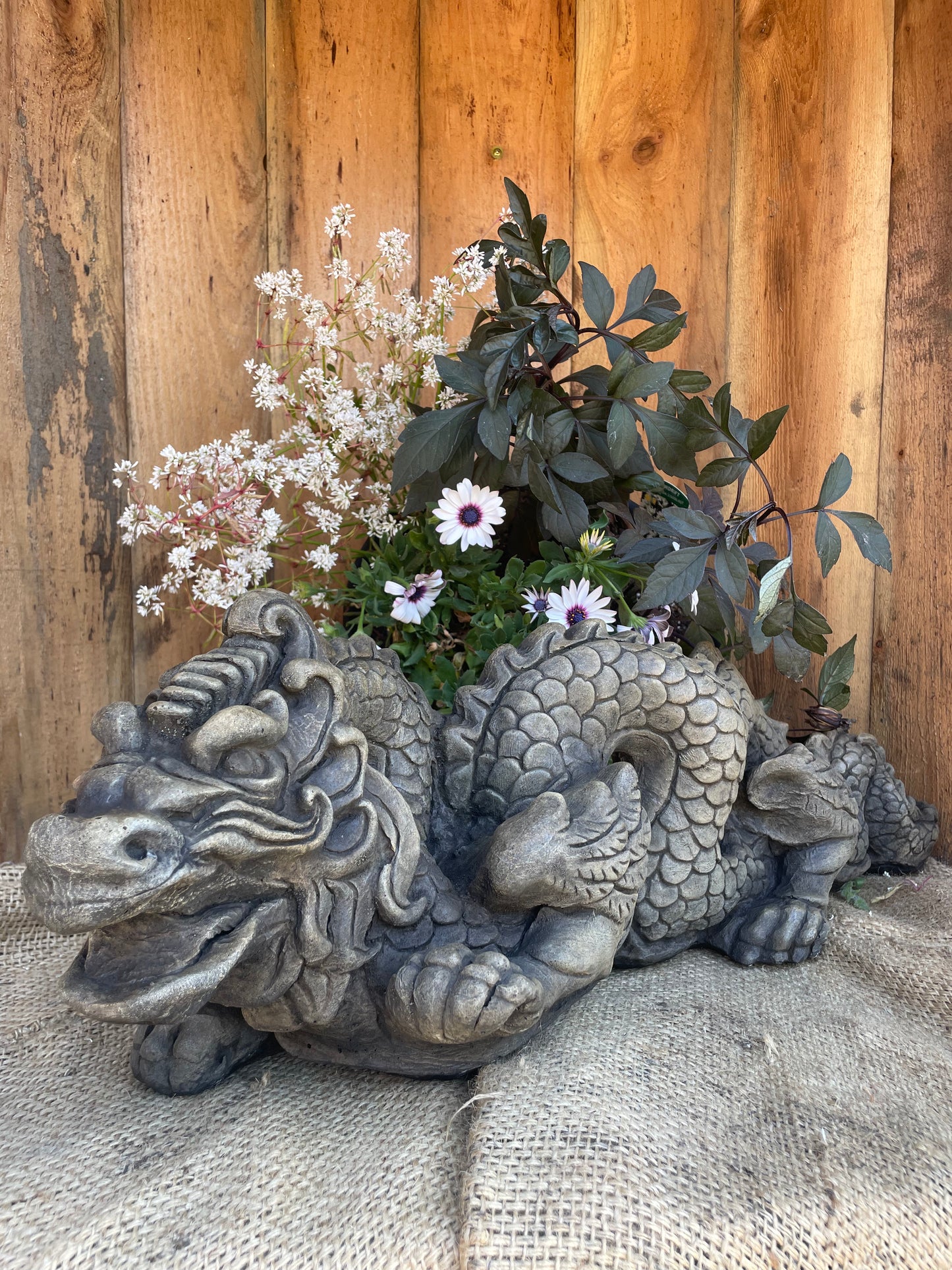 Asian Dragon