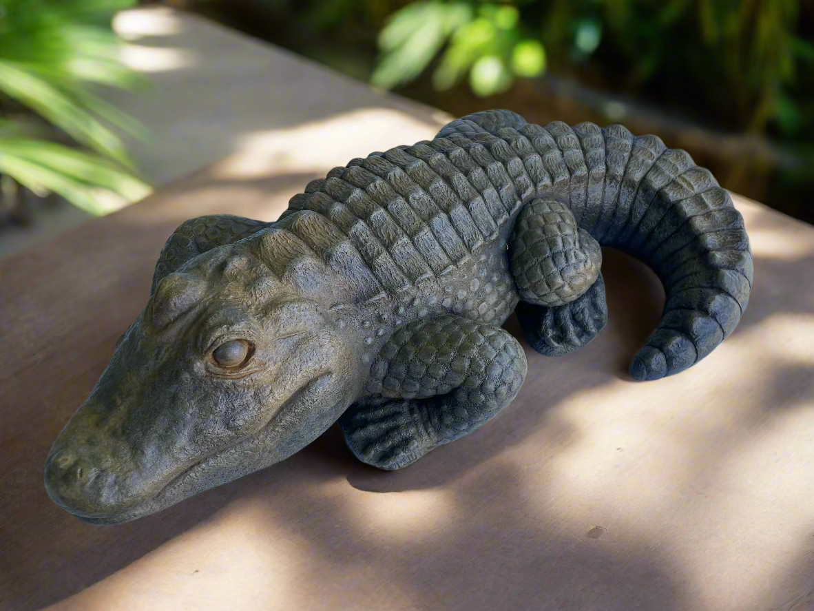 Crocodile