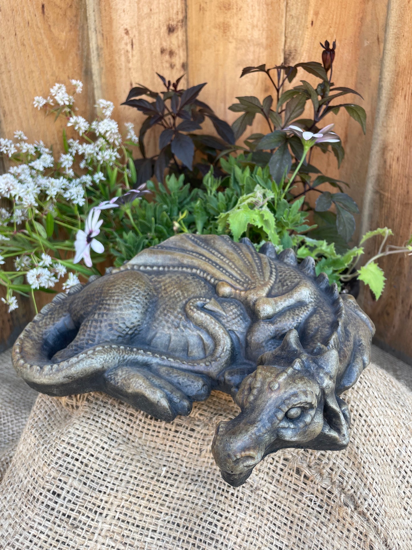 Sleeping Dragon