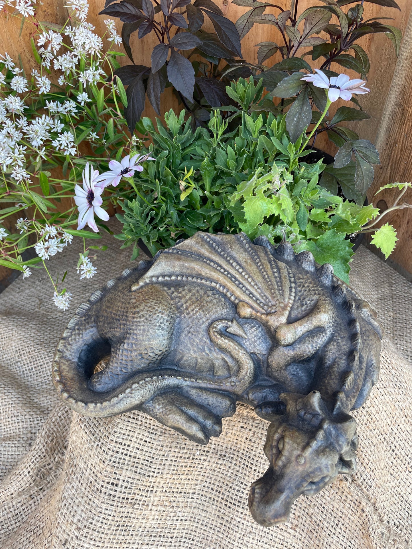 Sleeping Dragon