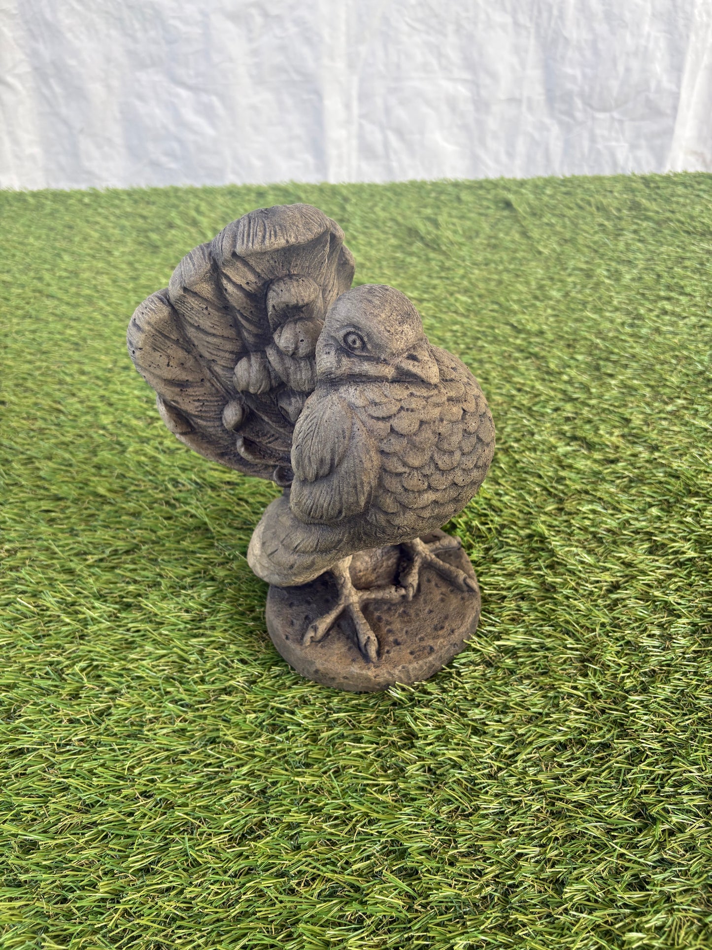 Fancy Bird