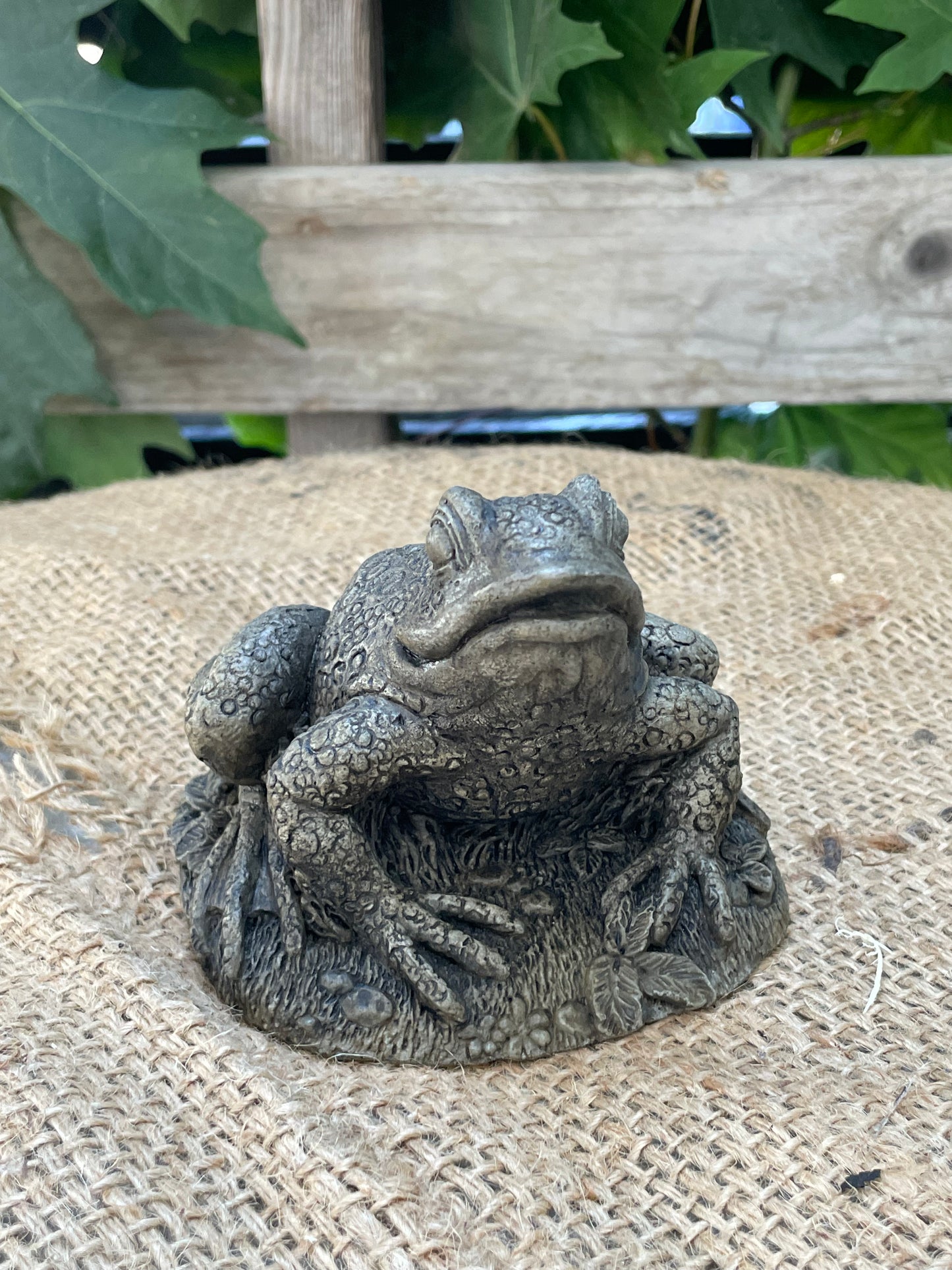Frog With Flowers