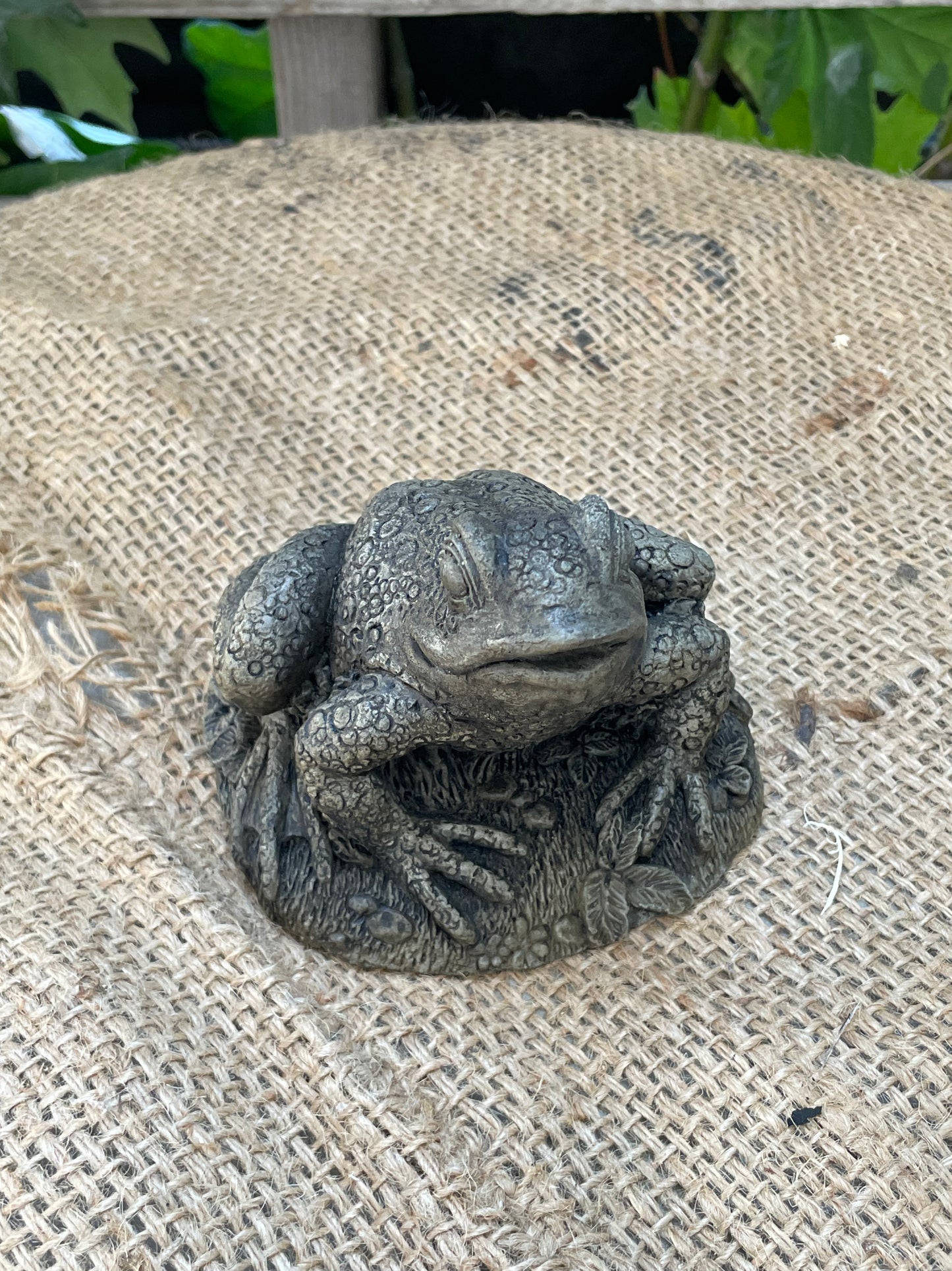 Frog With Flowers