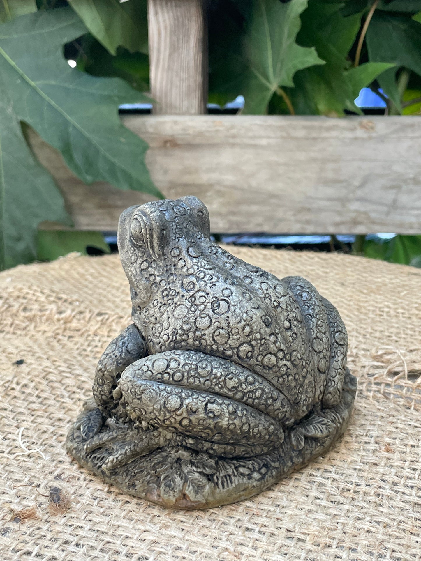 Frog With Flowers