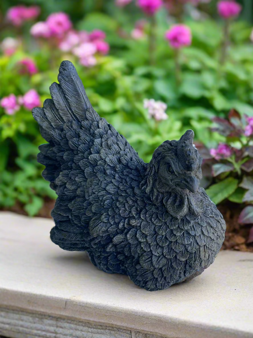 Hen