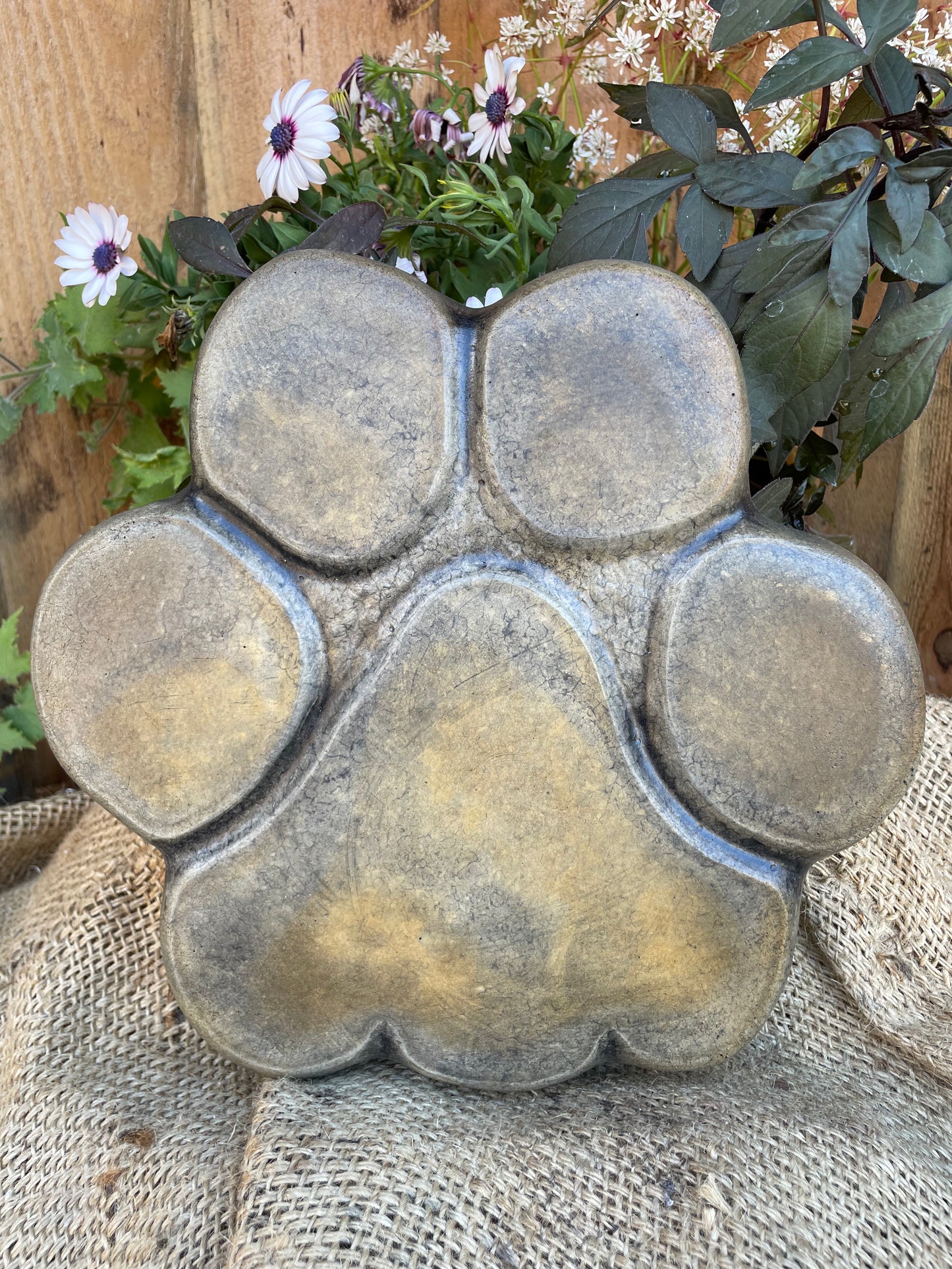 Paw - small