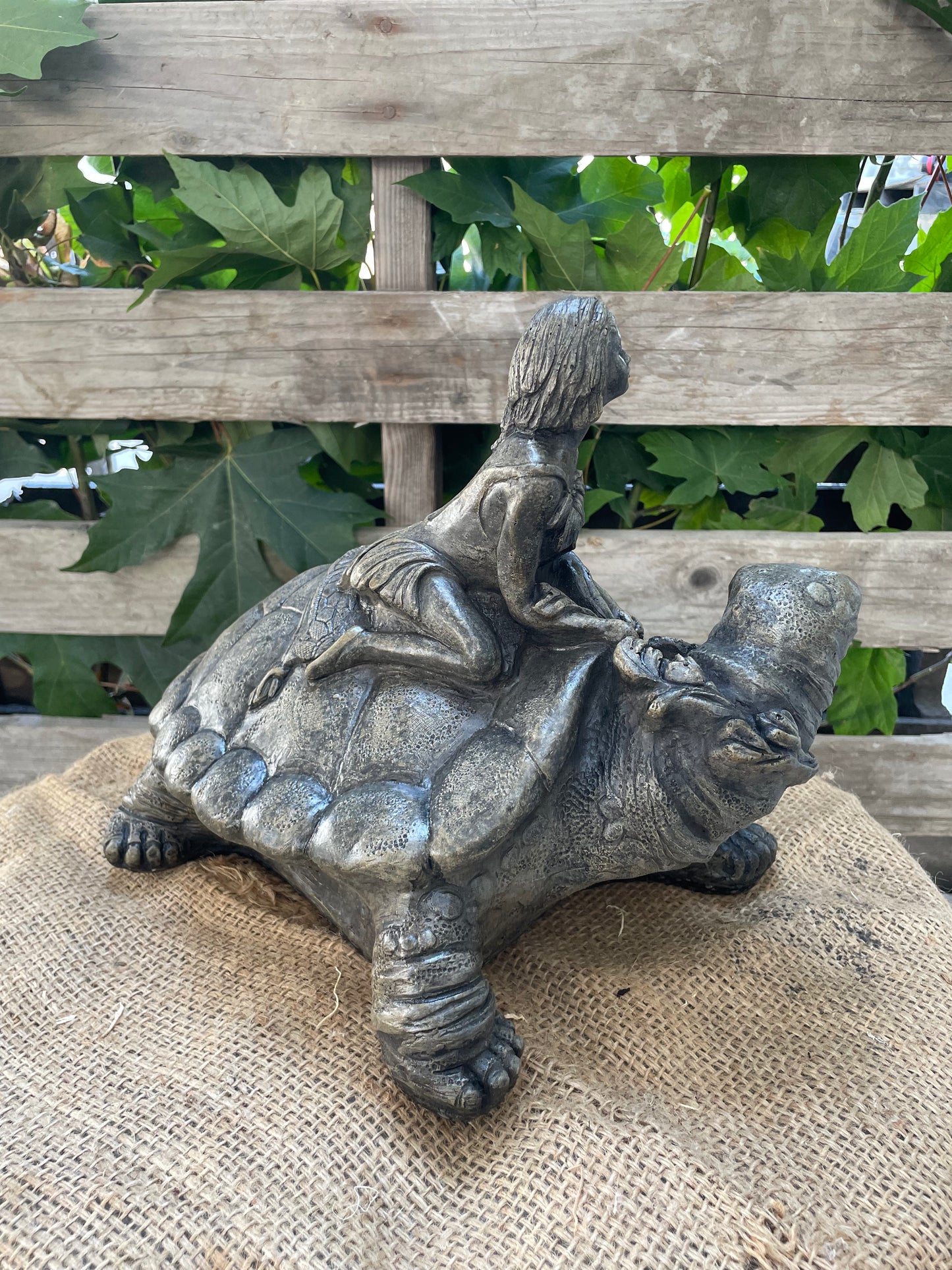 Pixie with Turtle