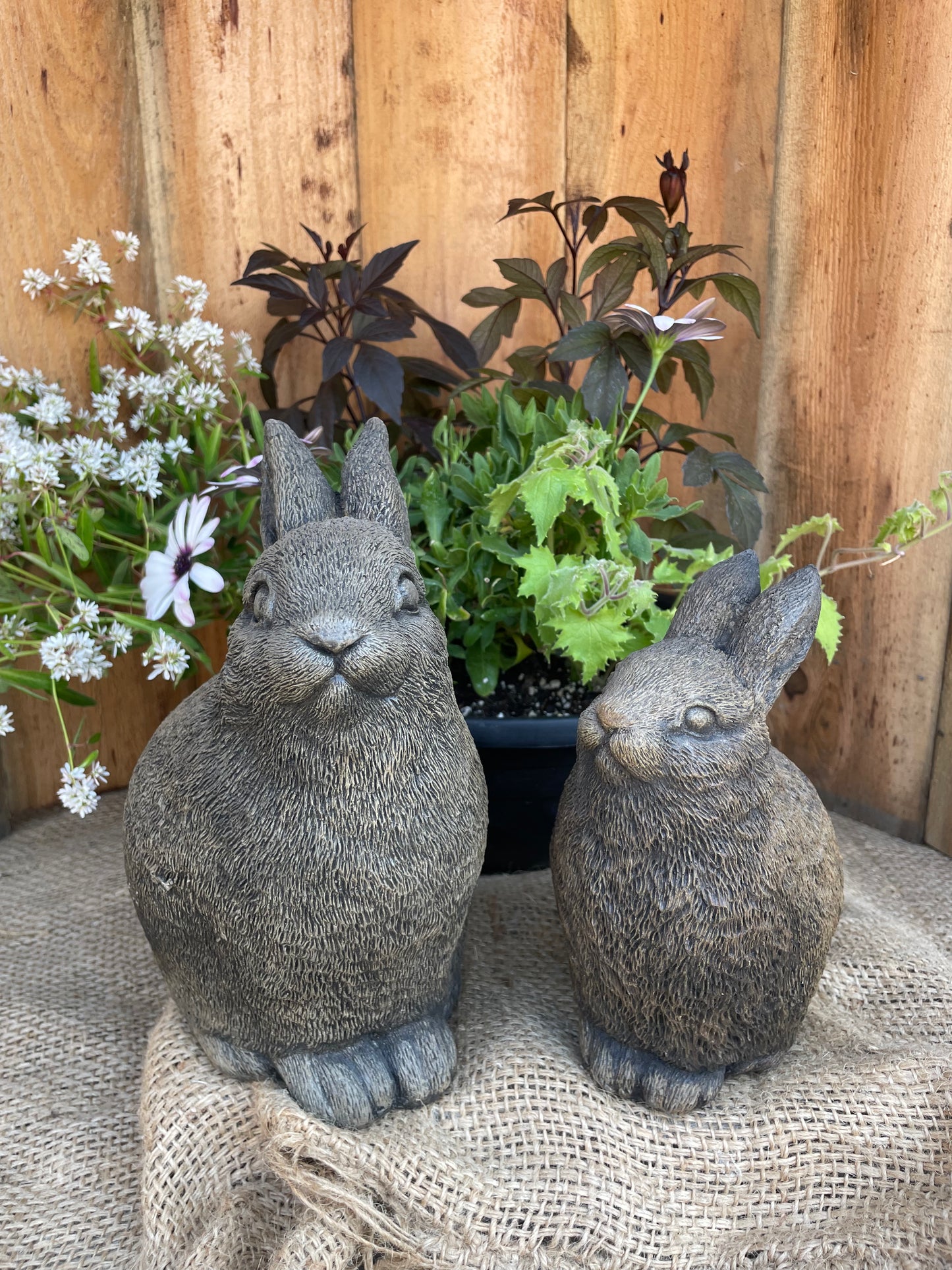 Rabbits (2 pieces)