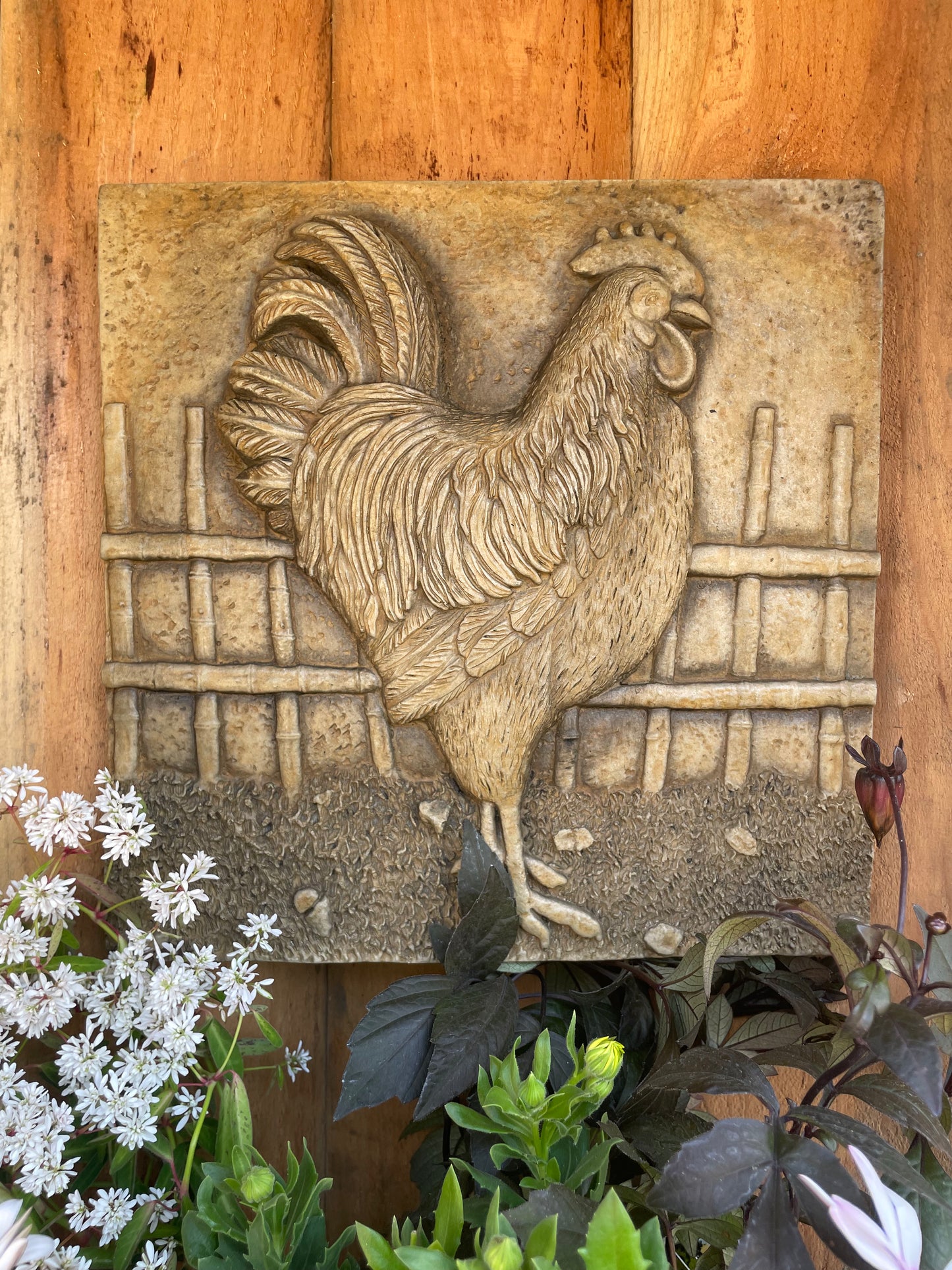 Rooster