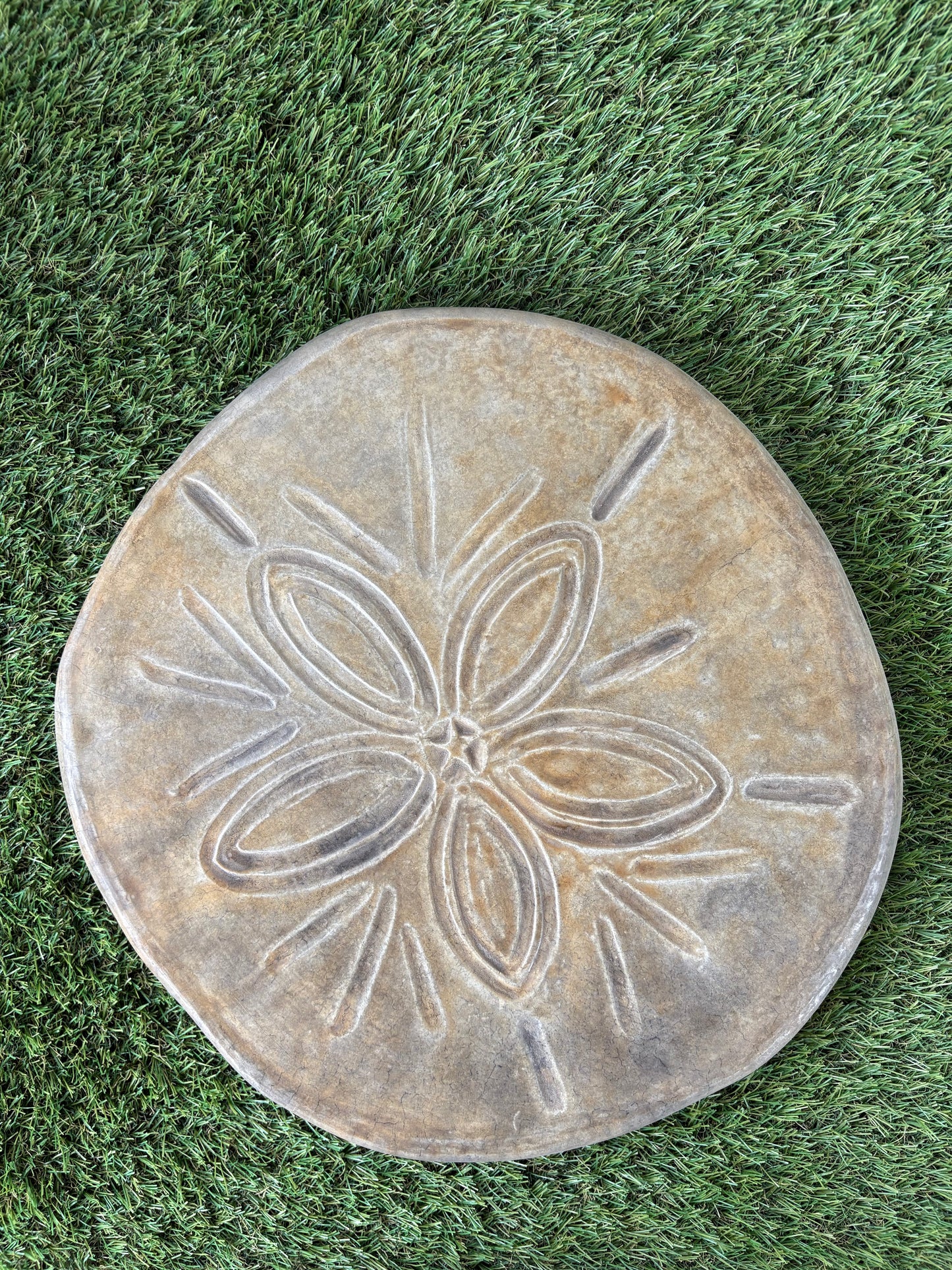 Sand Dollar Stepping Stone