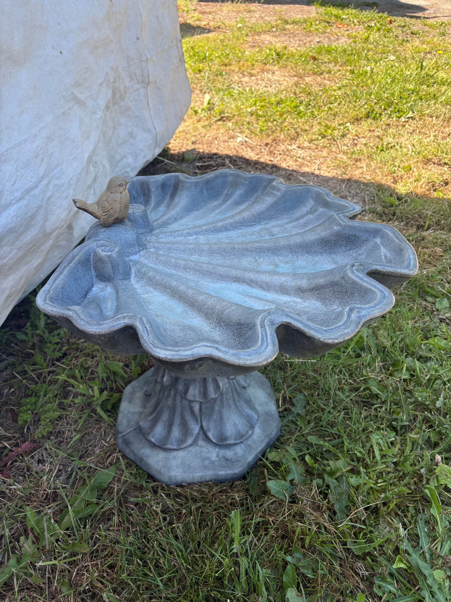 Small Shell Bird Bath