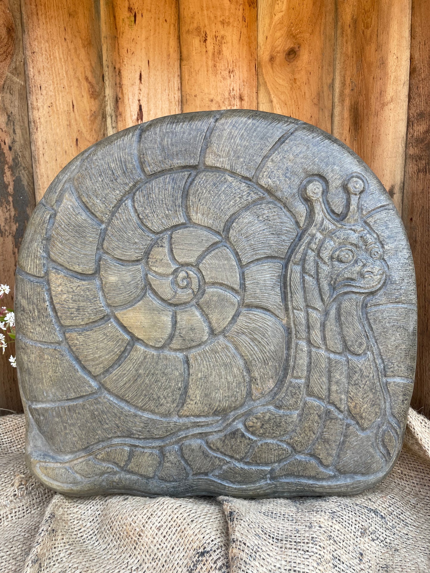 Large Snail