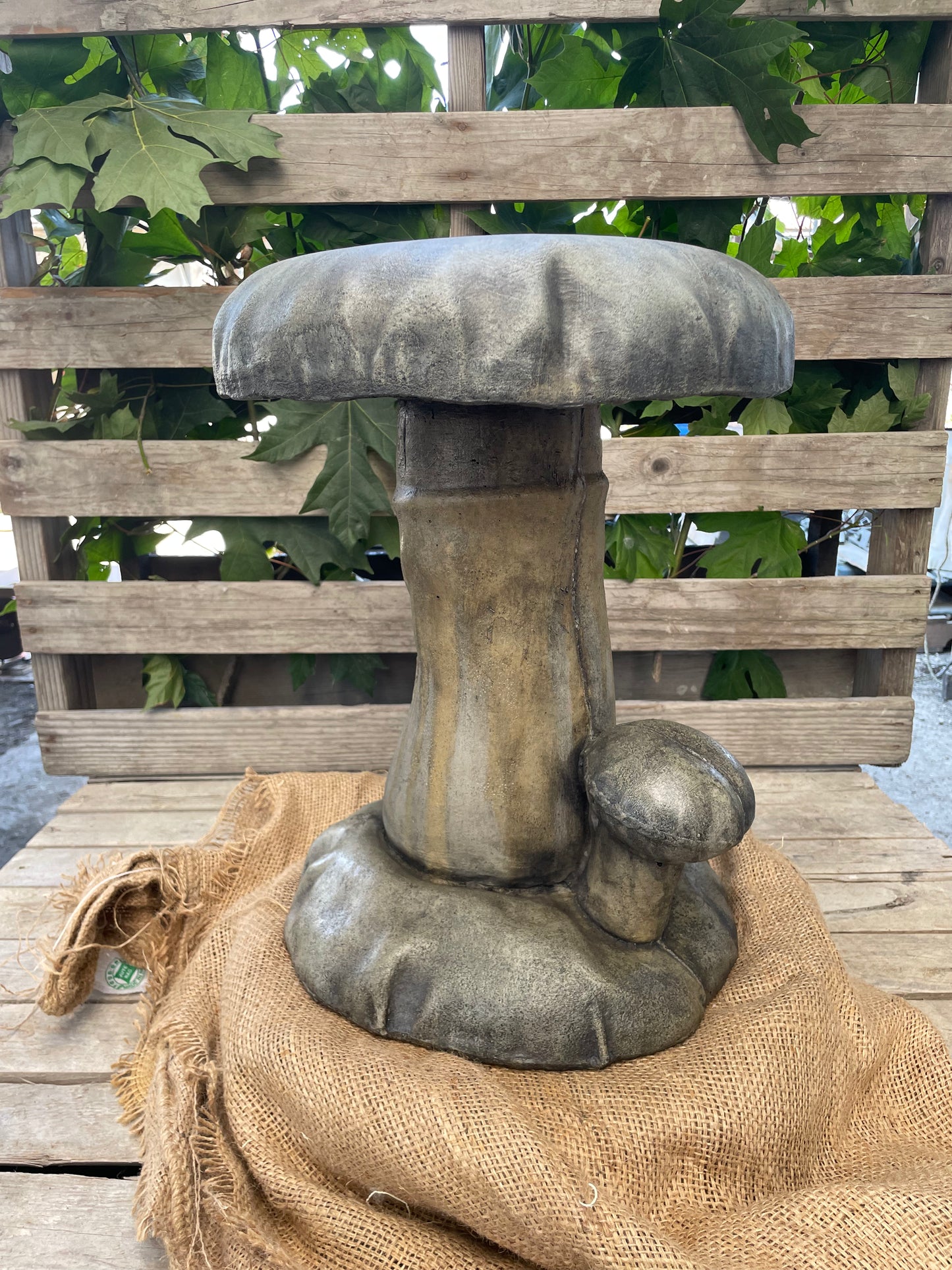 Mushroom Stool-
