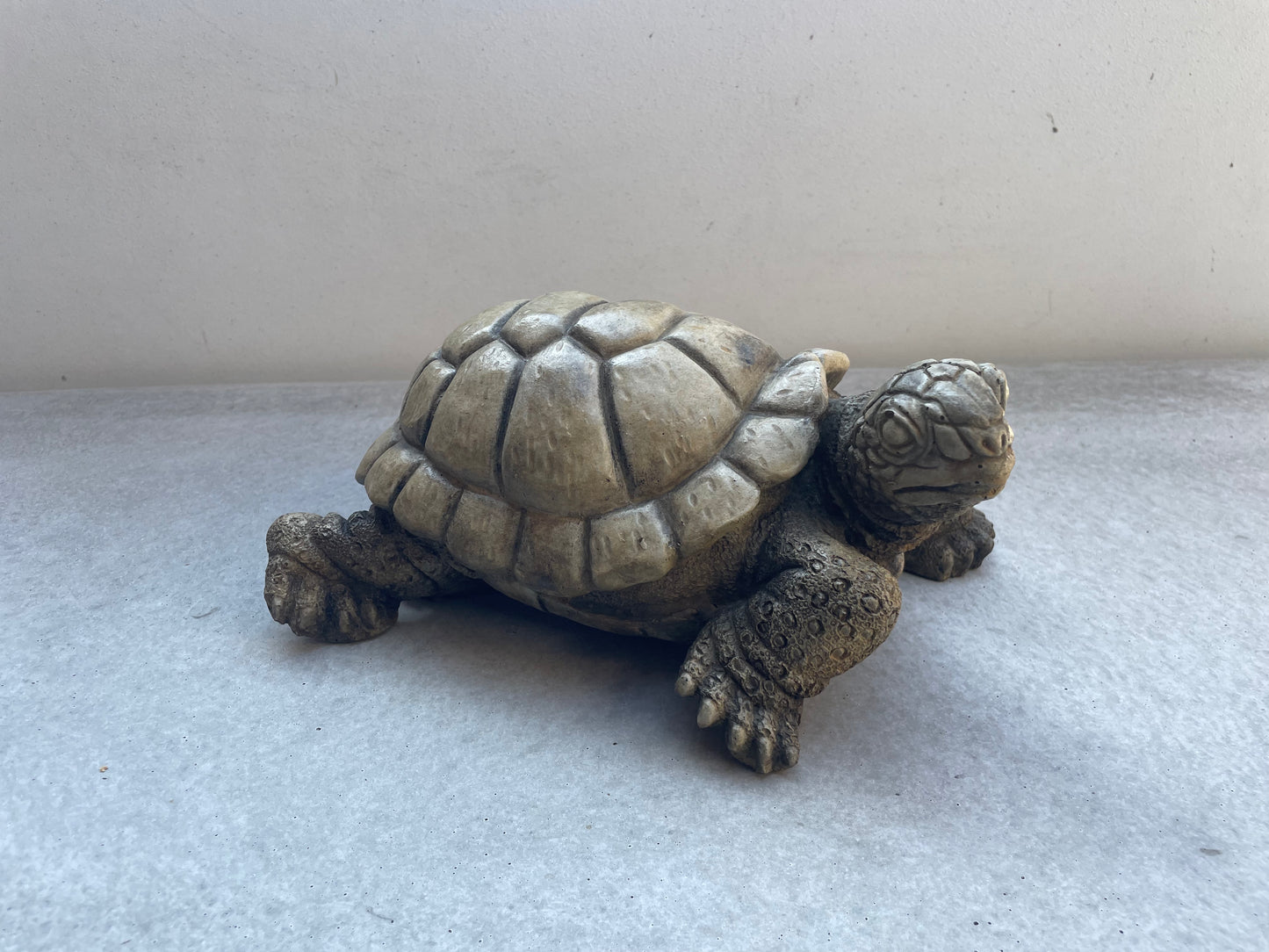 Turtle 10"