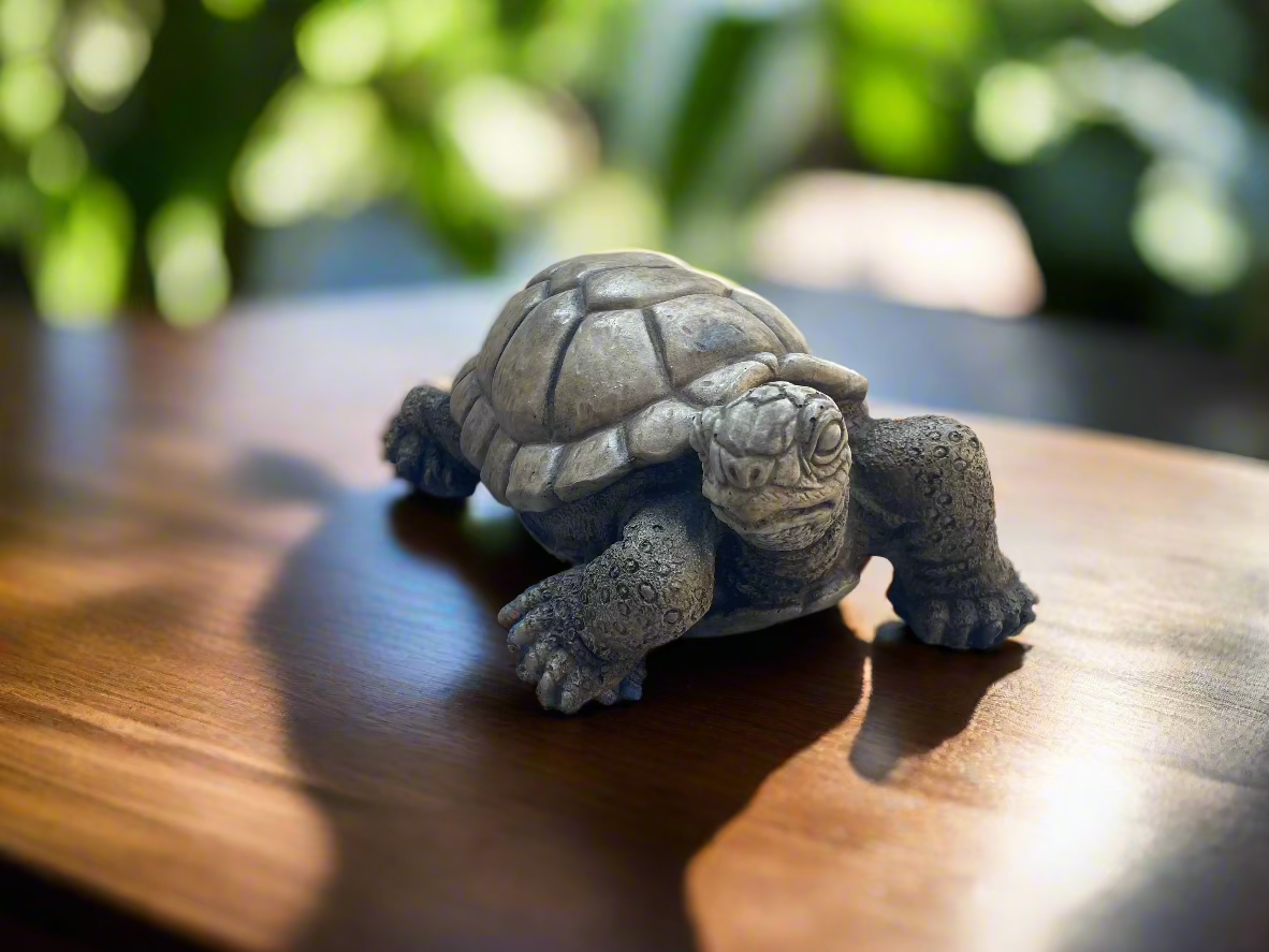 Turtle 10"