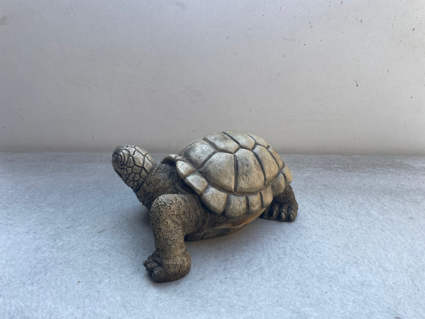 Turtle 10"