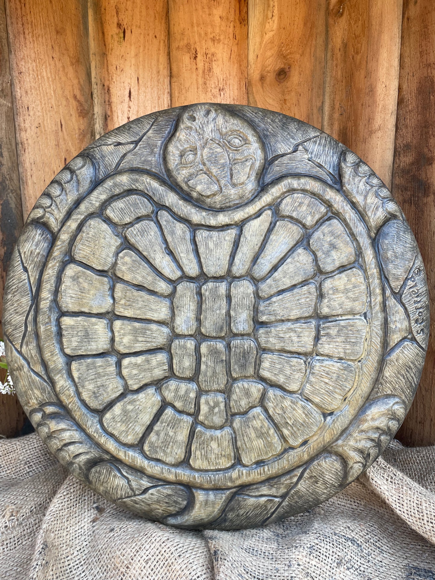 Large Turtle