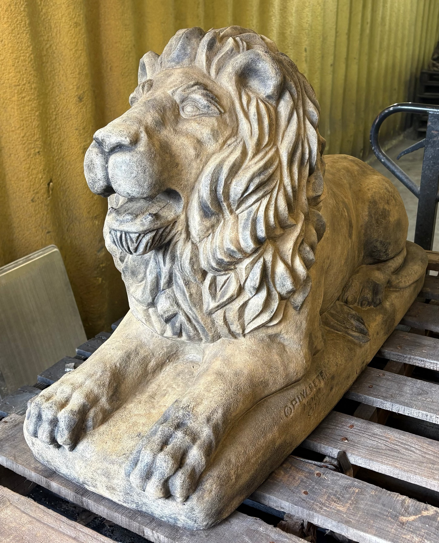 XL Lion