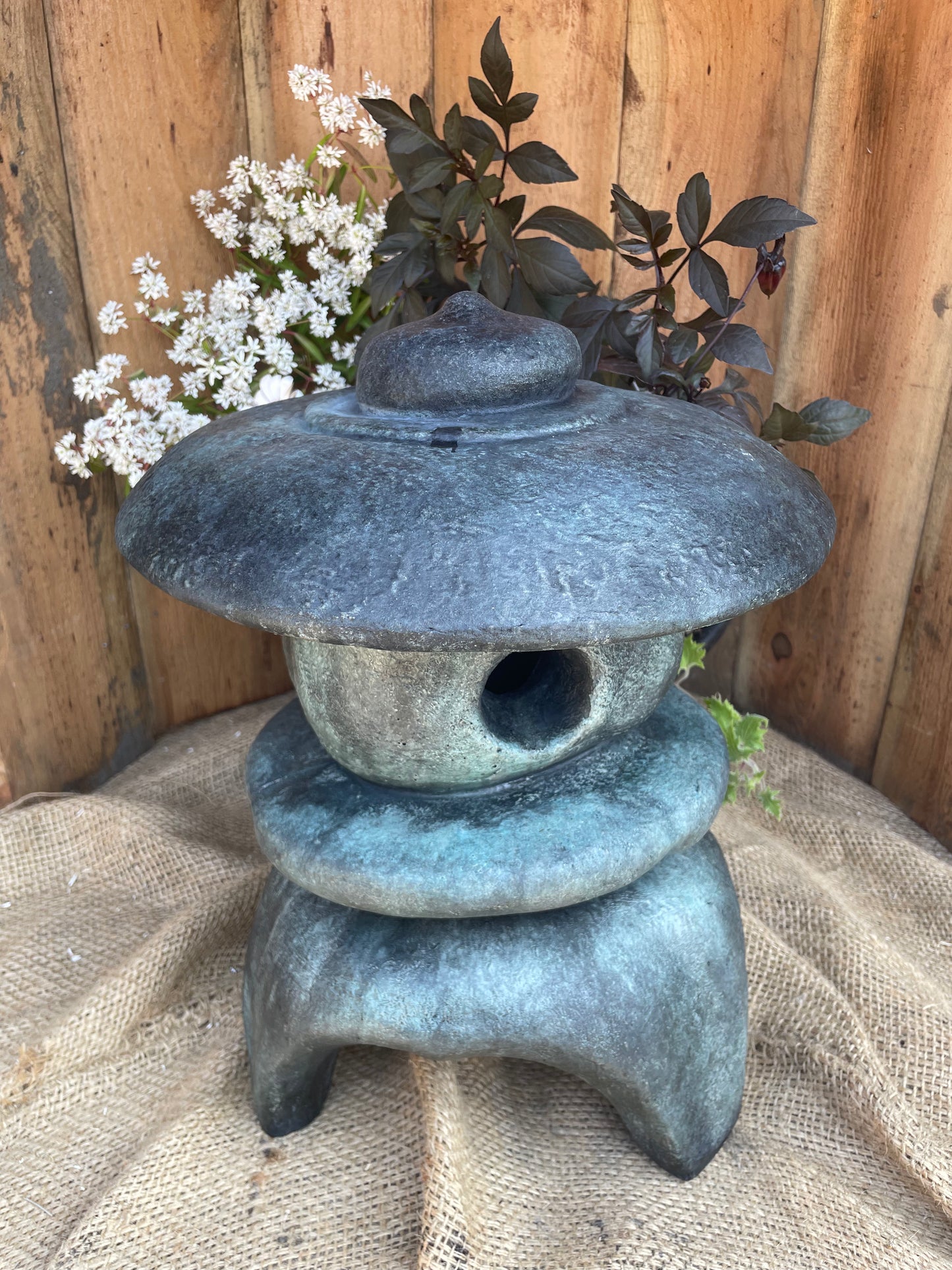 Zen, Medium