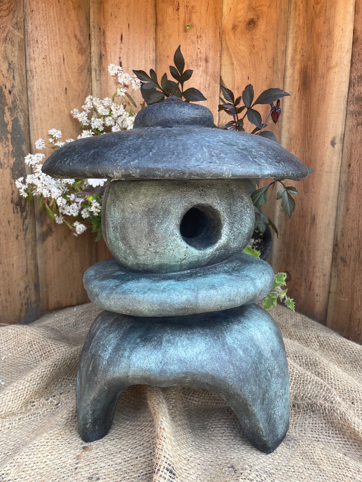 Zen, Medium