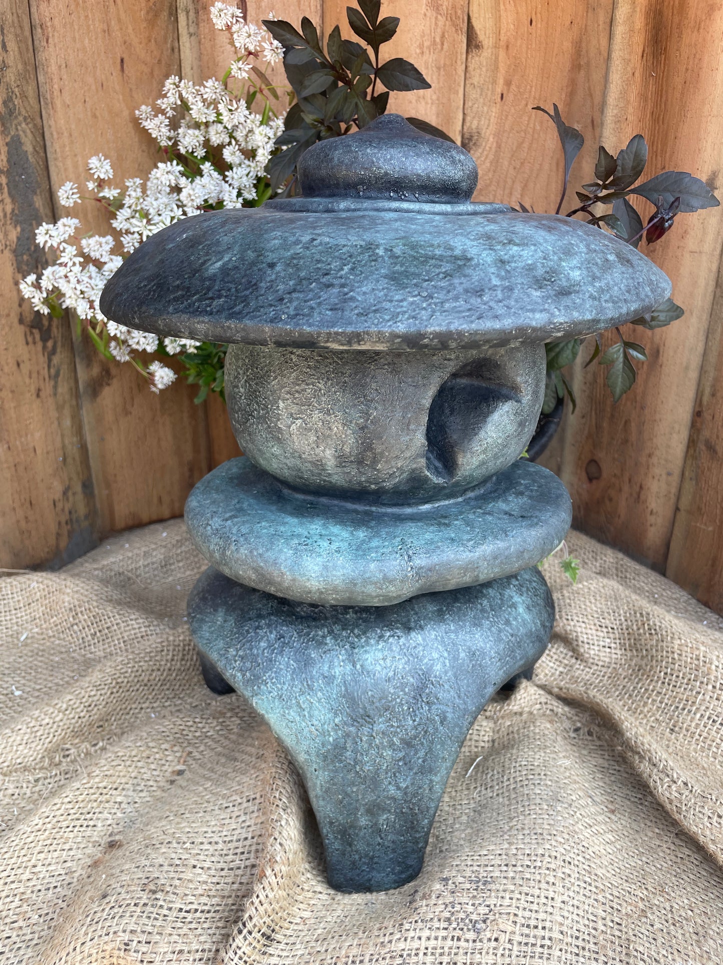 Zen, Medium