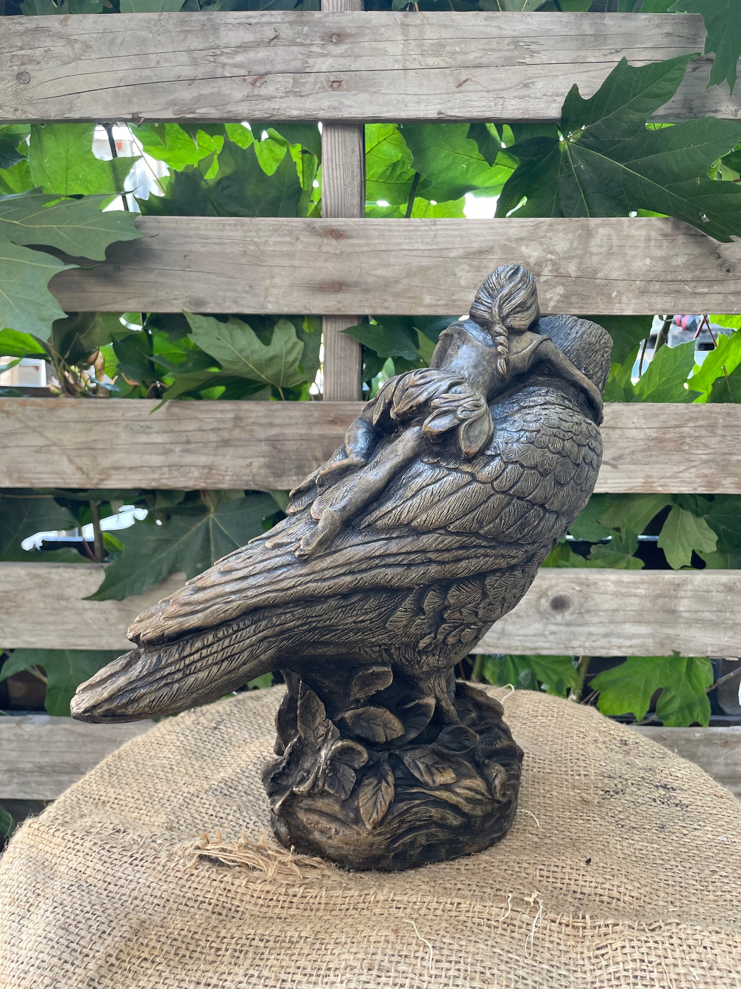 Pixie with raven