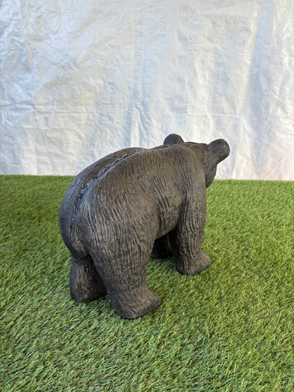 Black Bear