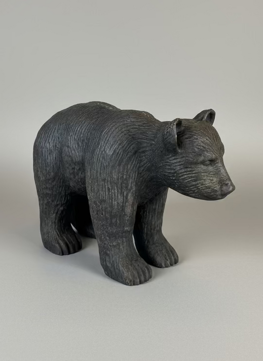 Black Bear