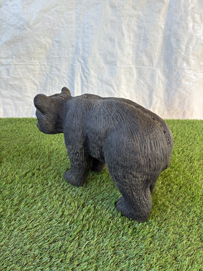 Black Bear
