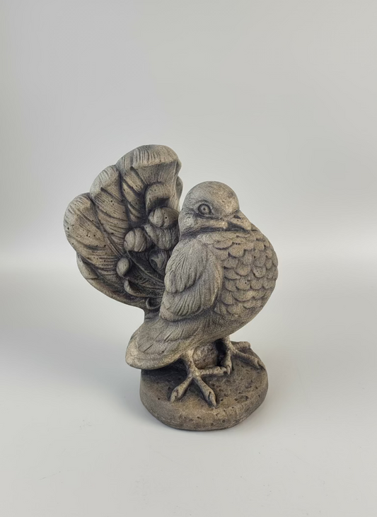 Fancy Bird
