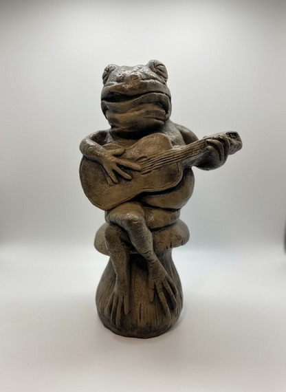 Frog Musician, Guitar
